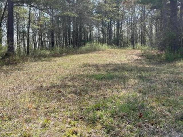 Land for sale in Double Springs, Winston County