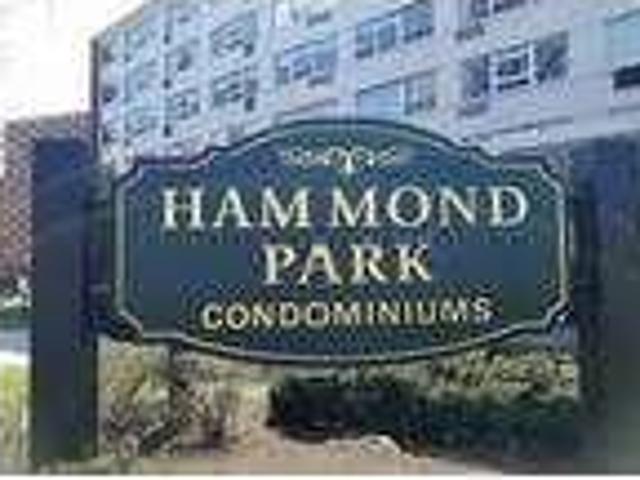 House for rent in Chestnut Hill