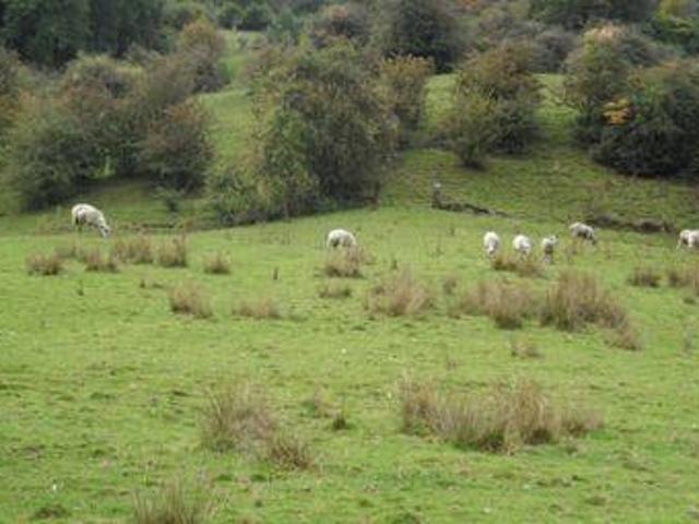 House for sale in Otley, West Yorkshire