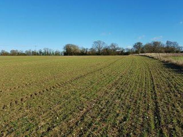House for sale in Colliers End, Hertfordshire