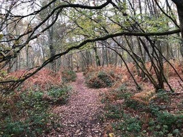 House for sale in Fole, Surrey