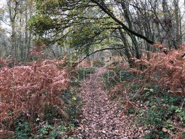 House for sale in Fole, Surrey