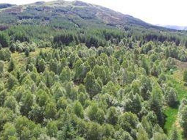 House for sale in Lochearnhead, Scotland