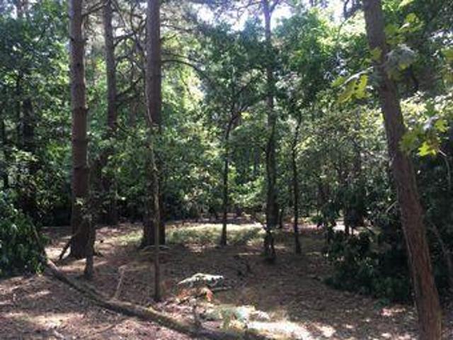 House for sale in Camberley, Surrey Heath