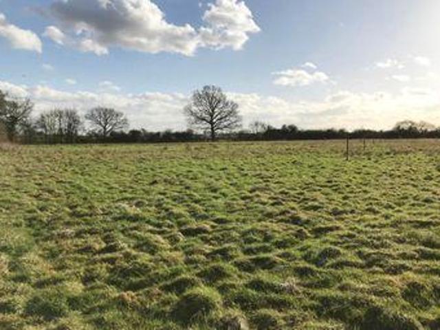 House for sale in Chelmsford