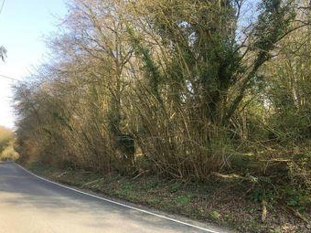 House for sale in Bolton Low Houses, Hampshire