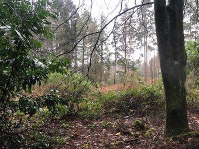 House for sale in Bolton Low Houses, Hampshire