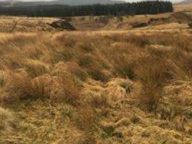 House for rent in New Lanark, South Lanarkshire
