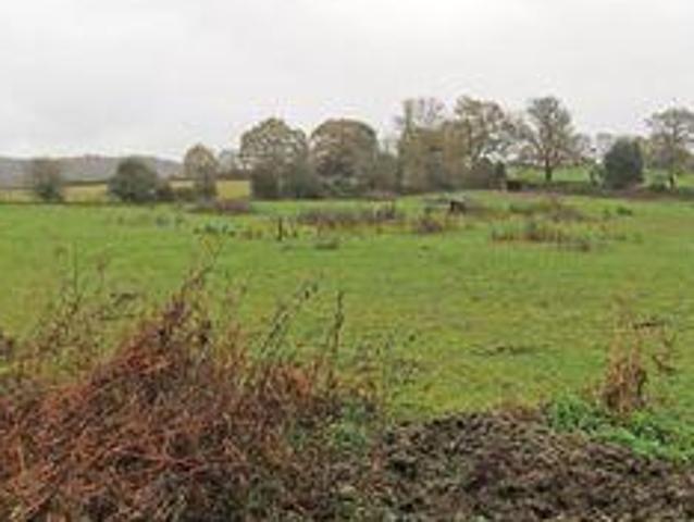 House for sale in Westborough, Surrey