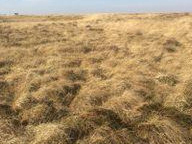 House for sale in Shotts, Scotland