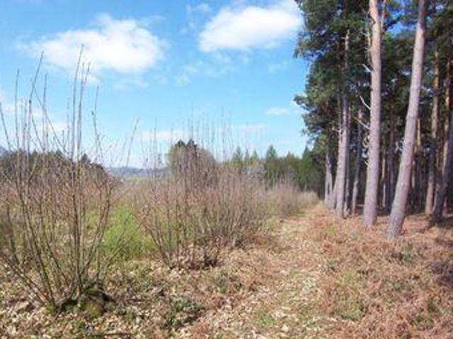 House for sale in Bolton Low Houses, Hampshire