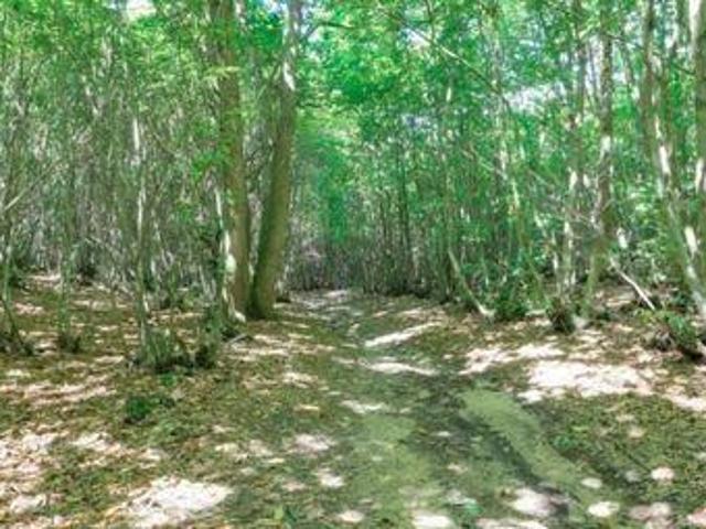 House for sale in Bolton Low Houses, Hampshire