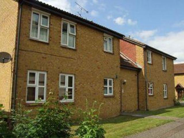 House for rent in Chelmsford
