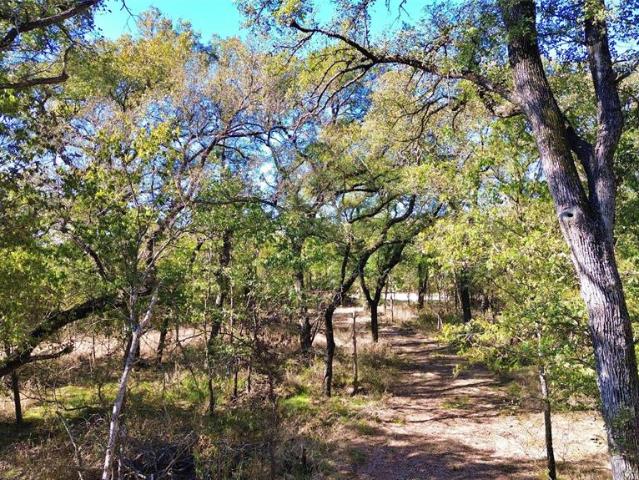 Land for sale in Ellis, Texas