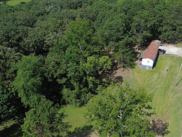 Land for sale in Clay City, Powell County