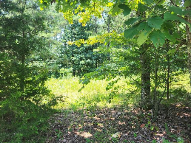 Land for sale in Tennessee