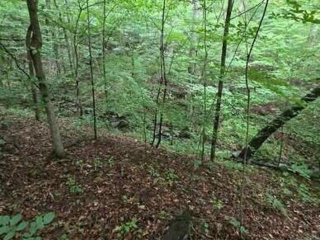 Land for sale in Kentucky