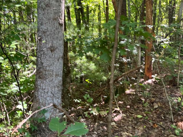 Land for sale in Clayton, Georgia