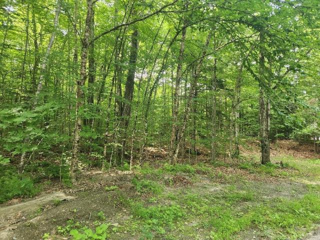 Land for sale in New Hampshire