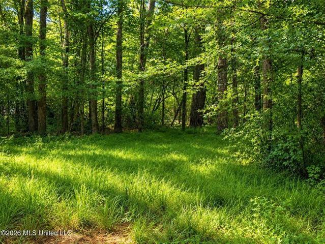 Land for sale in Amite, Louisiana