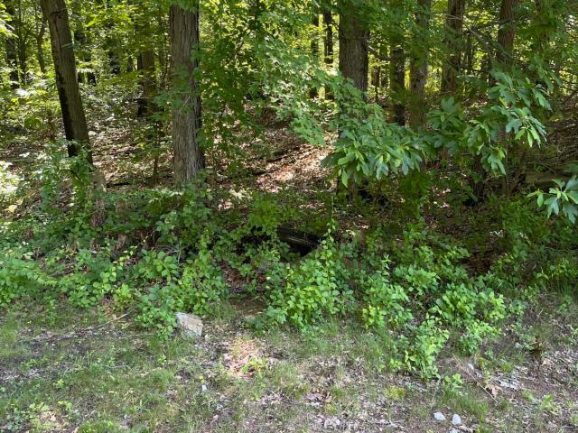 Land for sale in Michigan City, Indiana