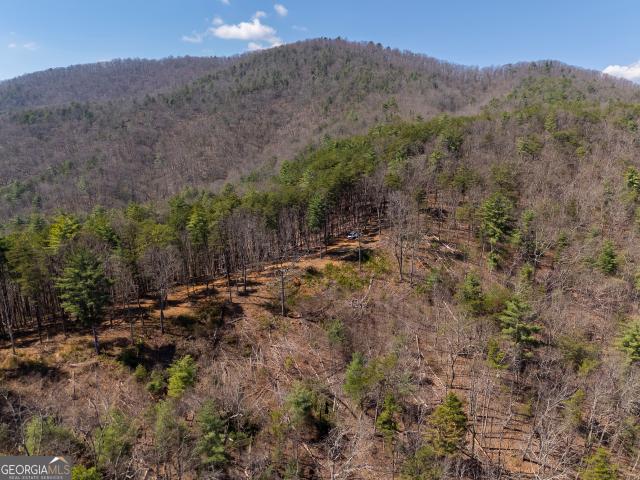 Land for sale in Helen, Georgia