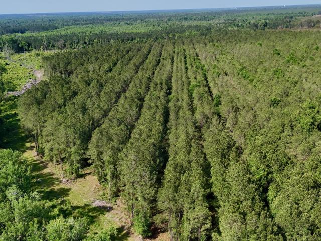 Land for sale in Lumber City, Georgia