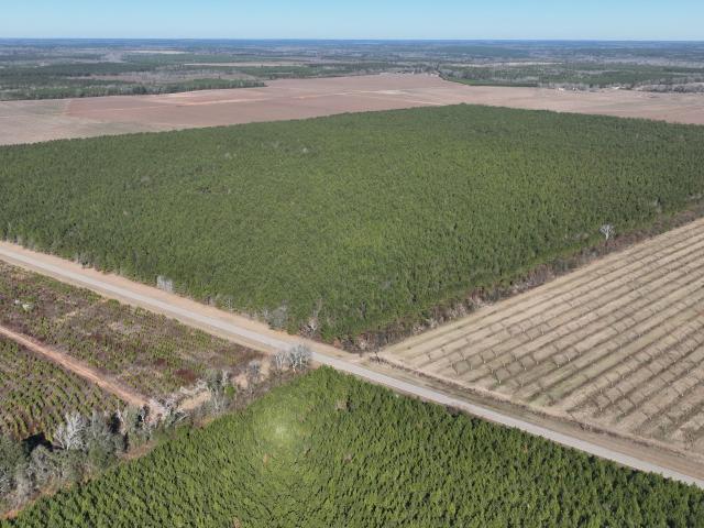 Land for sale in Louisville, Georgia