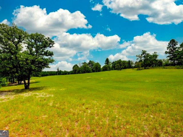 Land for sale in Portal, Bulloch County
