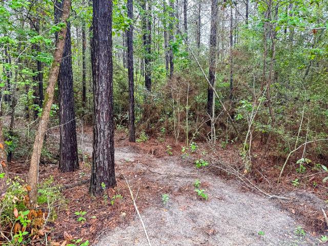 Land for sale in Polk, Texas