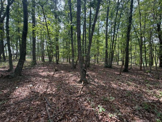 Land for sale in Concord, Campbell County