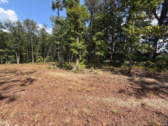 Land for sale in Concord, Campbell County