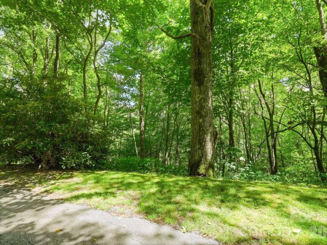 Land for sale in Waynesville, Haywood County