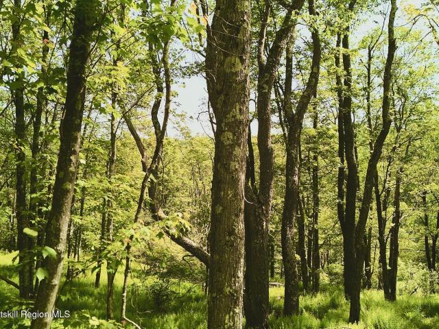 Land for sale in Claryville, New York