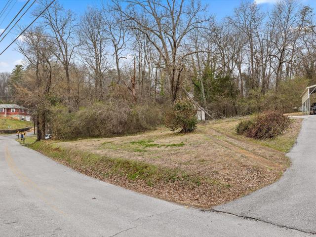 Land for sale in Tennessee