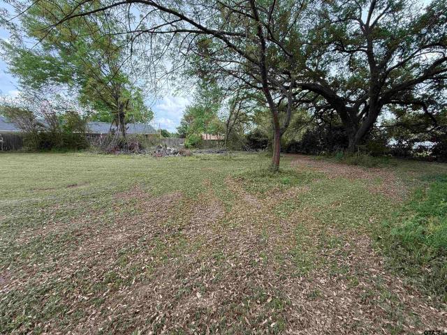 Land for sale in Smith, Texas