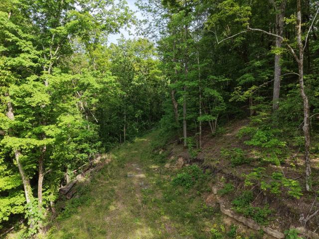 Farm for sale in Tennessee