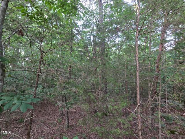 Land for sale in Graham