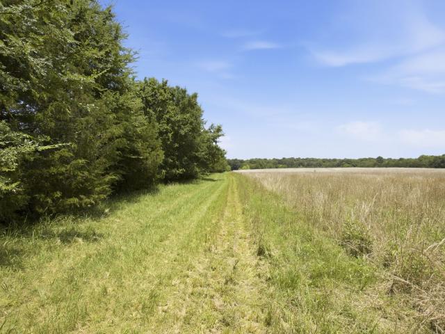 Farm for sale in Tennessee