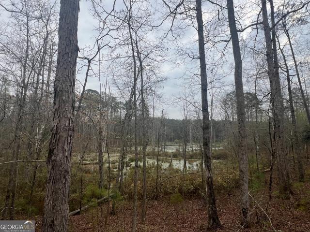 Land for sale in Moreland, Georgia