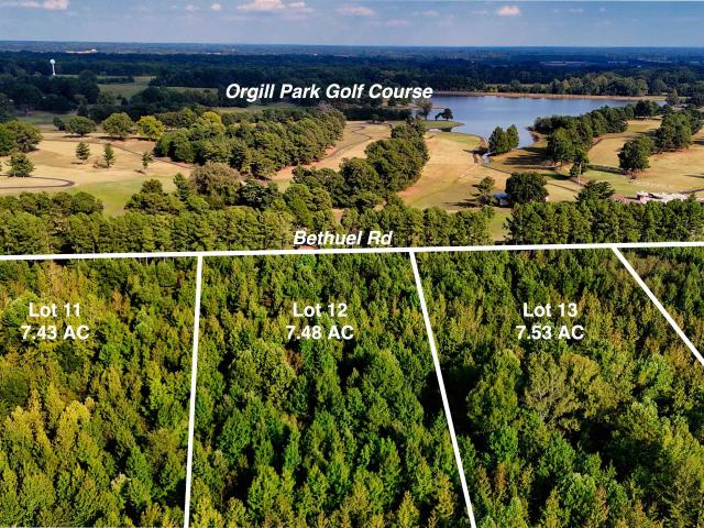 Land for sale in Tennessee