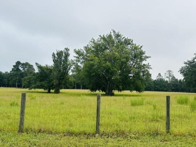Land for sale in Trenton, Aiken County