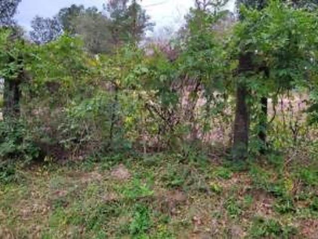 Land for sale in Shepherd, Texas