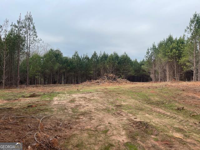 Land for sale in Franklin, Georgia