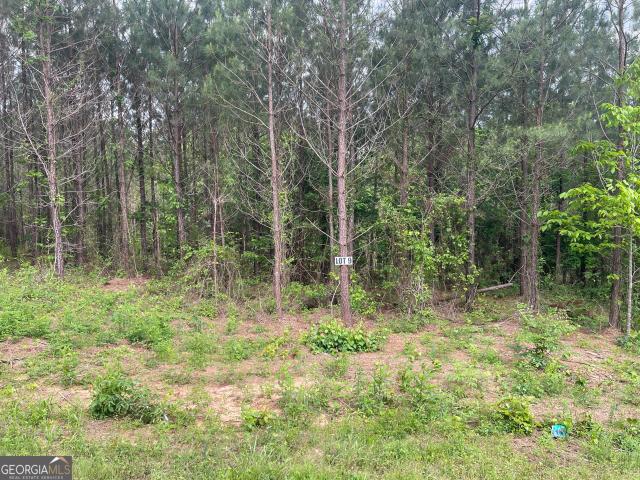 Land for sale in Franklin, Georgia