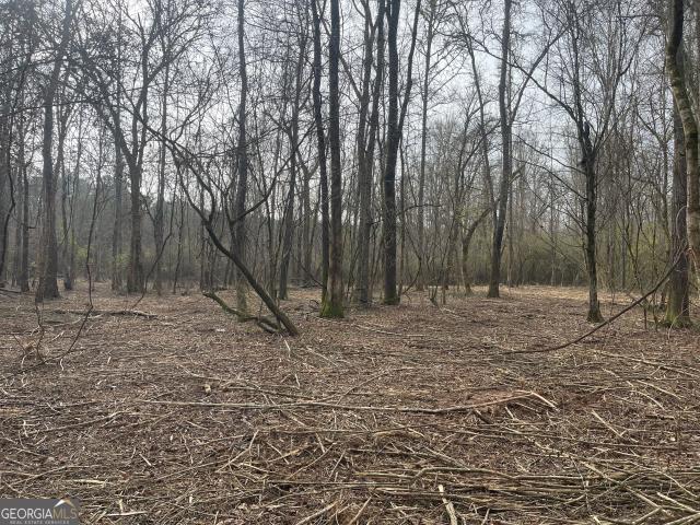 Land for sale in Franklin, Georgia
