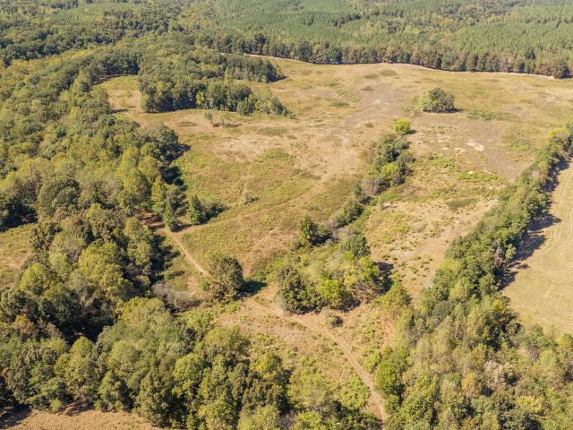 Farm for sale in Middle Tennessee, Tennessee