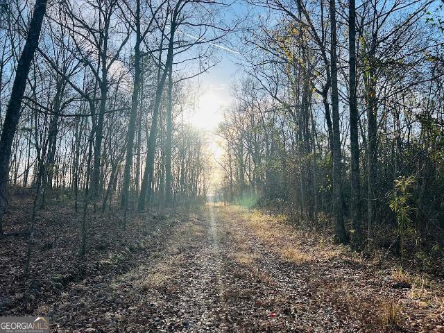 Land for sale in Butler, Georgia