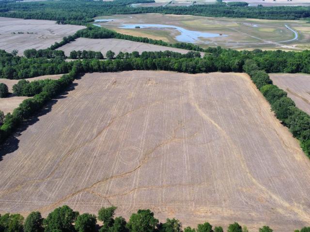 Land for sale in Tennessee
