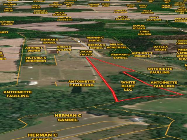 Land for sale in Bowman, South Carolina
